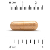 CGN Multivitamin & Mineral, Two-A-Day 60 Veggie Capsules